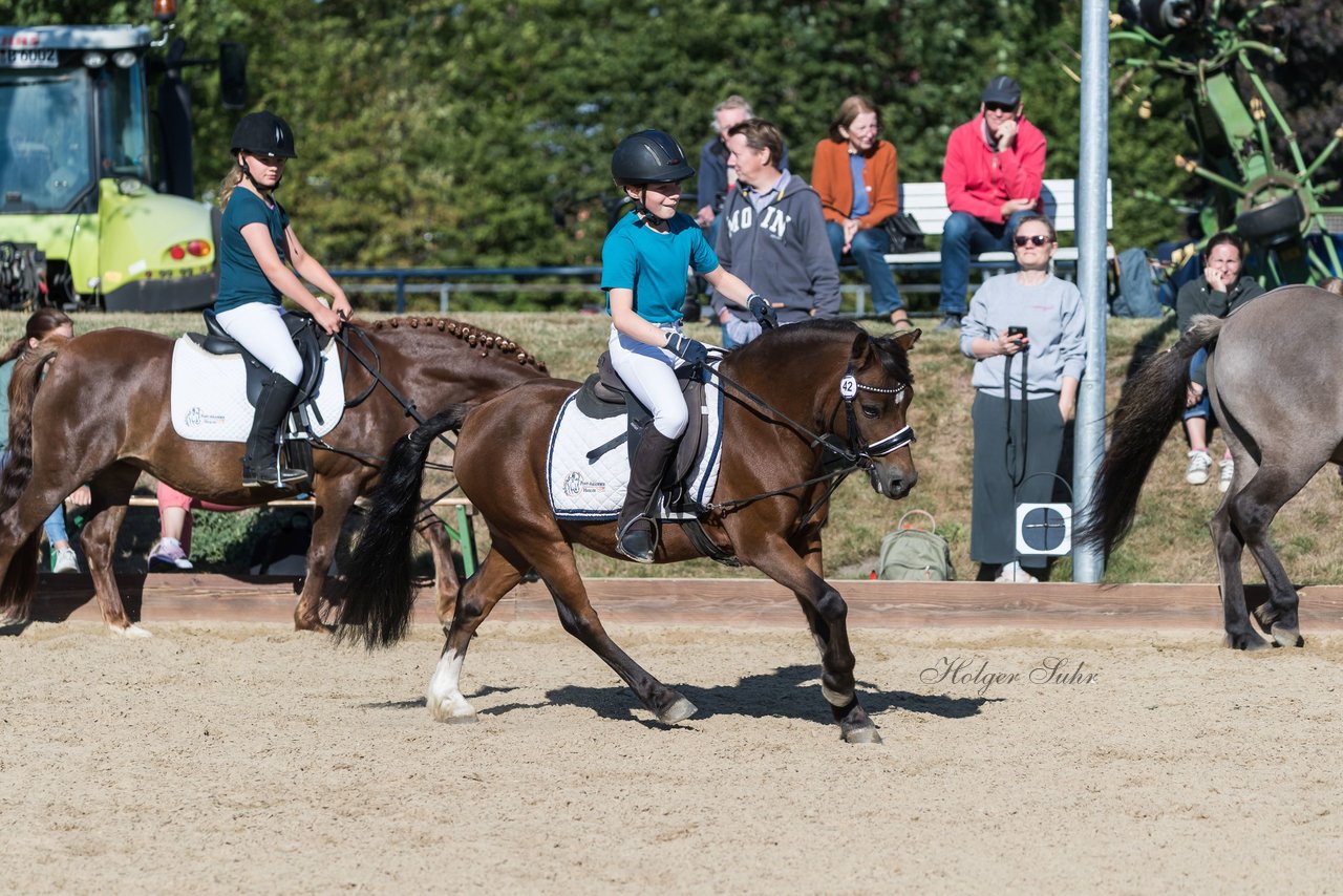 Bild 62 - Pony Akademie Turnier